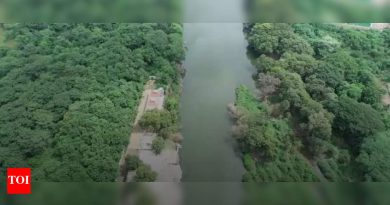 महा चीफ सिकी यांना एससी पॅनेलः पीएमसी, पीसीएमसीला सांगा, रिपरियन झोनमध्ये आरएफडीसाठी प्रस्तावित वृक्ष फेलिंग थांबवा महा चीफ सिकी यांना एससी पॅनेलः पीएमसी, पीसीएमसीला सांगा, रिपरियन झोनमध्ये आरएफडीसाठी प्रस्तावित वृक्ष फेलिंग थांबवा