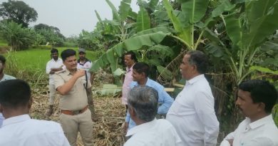 पाऊस गेला अन् शेतकरी अडचणीत आला!