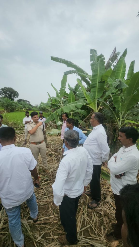 पाऊस गेला अन् शेतकरी अडचणीत आला!